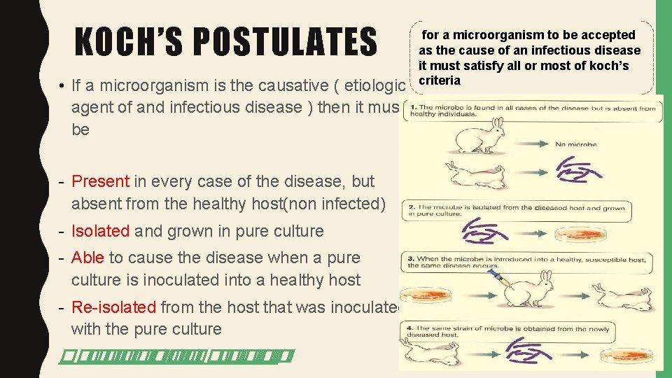 KOCH’S POSTULATES • If a microorganism is the causative ( etiologic agent of and
