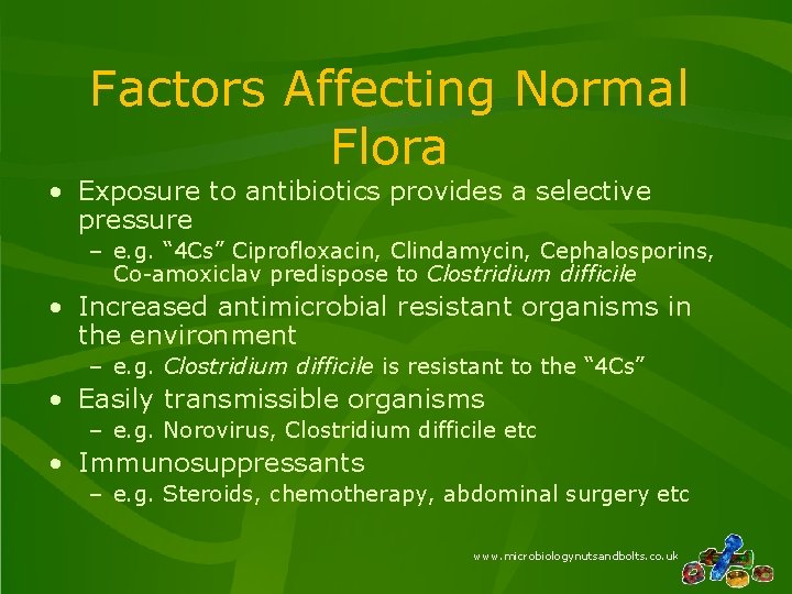 Factors Affecting Normal Flora • Exposure to antibiotics provides a selective pressure – e. Factors Affecting Normal Flora • Exposure to antibiotics provides a selective pressure – e.