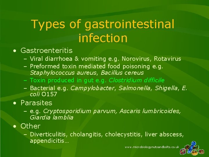 Types of gastrointestinal infection • Gastroenteritis – Viral diarrhoea & vomiting e. g. Norovirus, Types of gastrointestinal infection • Gastroenteritis – Viral diarrhoea & vomiting e. g. Norovirus,