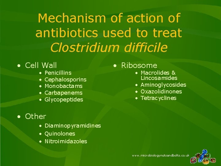 Mechanism of action of antibiotics used to treat Clostridium difficile • Cell Wall • Mechanism of action of antibiotics used to treat Clostridium difficile • Cell Wall •