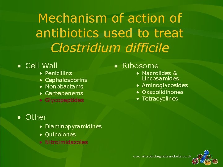Mechanism of action of antibiotics used to treat Clostridium difficile • Cell Wall • Mechanism of action of antibiotics used to treat Clostridium difficile • Cell Wall •