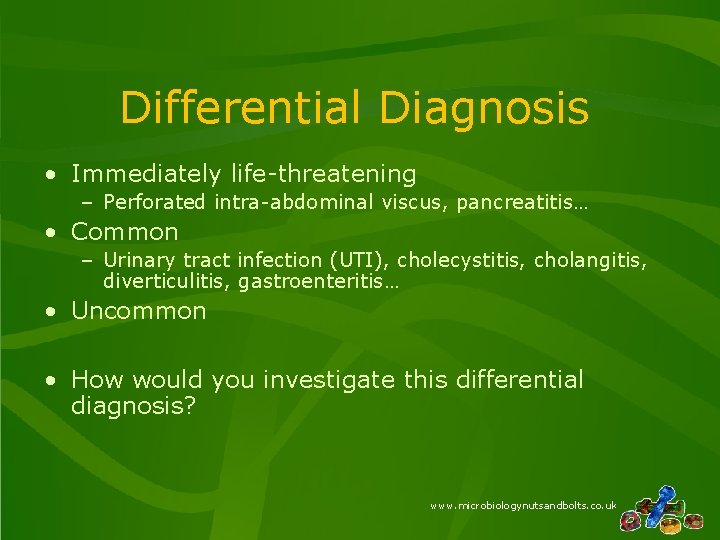 Differential Diagnosis • Immediately life-threatening – Perforated intra-abdominal viscus, pancreatitis… • Common – Urinary Differential Diagnosis • Immediately life-threatening – Perforated intra-abdominal viscus, pancreatitis… • Common – Urinary