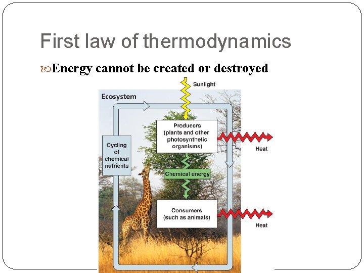 First law of thermodynamics Energy cannot be created or destroyed 