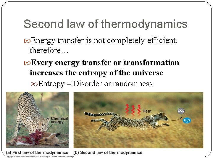 Second law of thermodynamics Energy transfer is not completely efficient, therefore… Every energy transfer