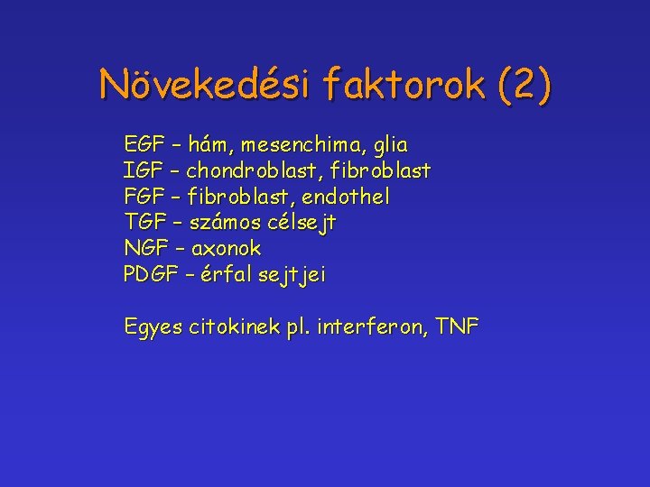 Növekedési faktorok (2) EGF – hám, mesenchima, glia IGF – chondroblast, fibroblast FGF –