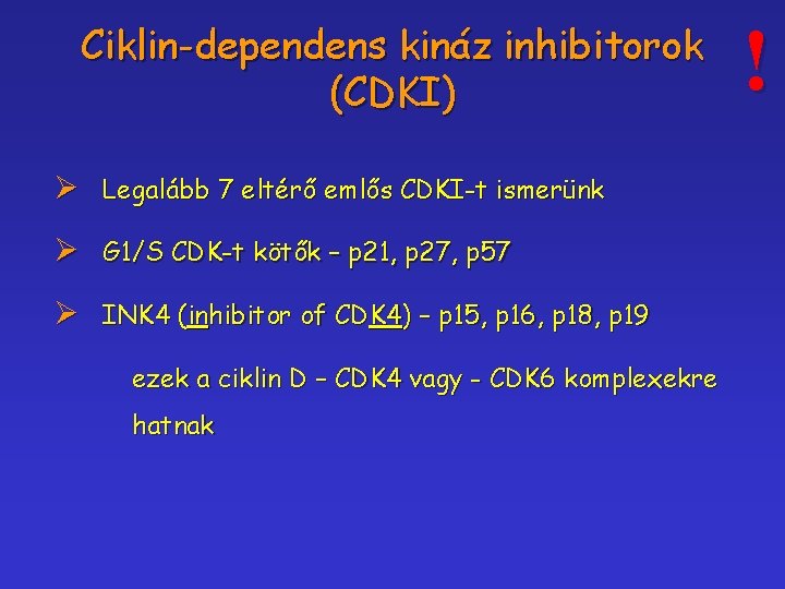 Ciklin-dependens kináz inhibitorok (CDKI) Ø Legalább 7 eltérő emlős CDKI-t ismerünk Ø G 1/S