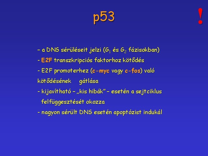 p 53 – a DNS sérüléseit jelzi (G 1 és G 2 fázisokban) -