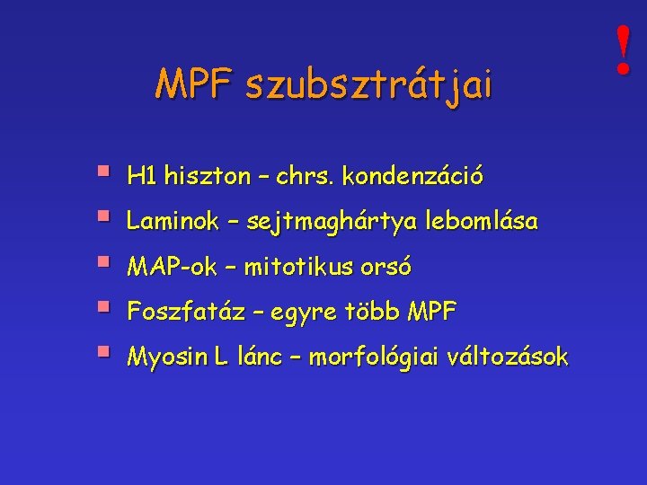 MPF szubsztrátjai § § § H 1 hiszton – chrs. kondenzáció Laminok – sejtmaghártya