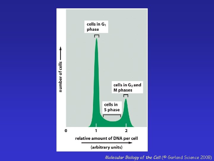 Molecular Biology of the Cell (© Garland Science 2008) 