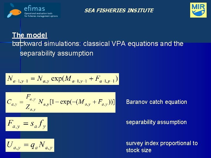 SEA FISHERIES INSITUTE The model backward simulations: classical VPA equations and the separability assumption