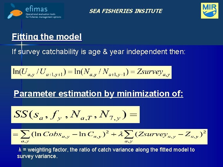 SEA FISHERIES INSITUTE Fitting the model If survey catchability is age & year independent