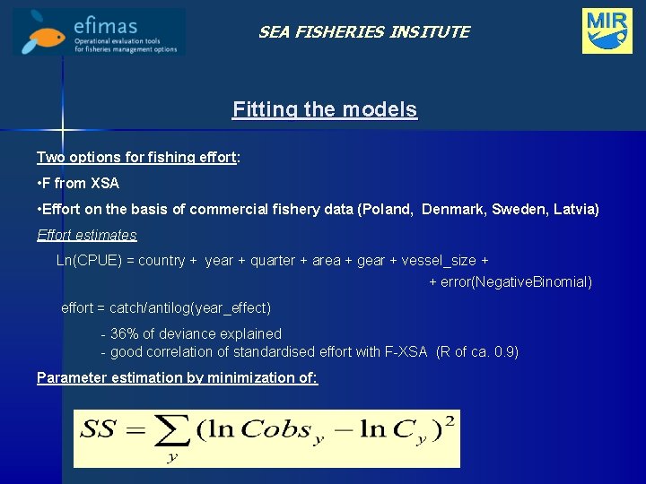 SEA FISHERIES INSITUTE Fitting the models Two options for fishing effort: • F from