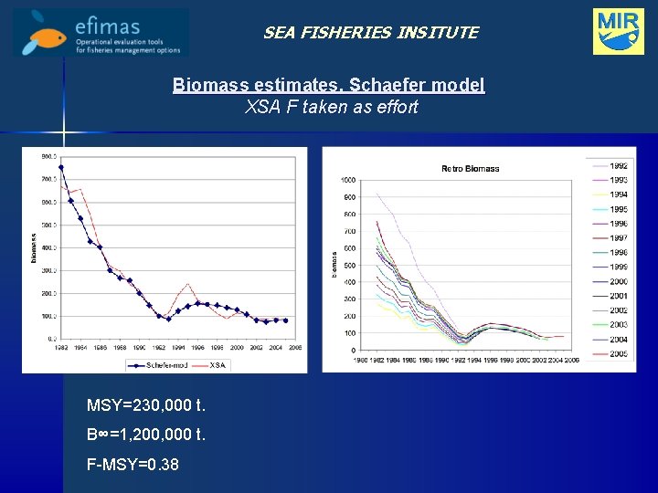 SEA FISHERIES INSITUTE Biomass estimates, Schaefer model XSA F taken as effort MSY=230, 000