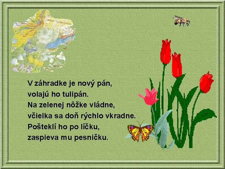 V záhradke je nový pán, volajú ho tulipán. Na zelenej nôžke vládne, včielka sa