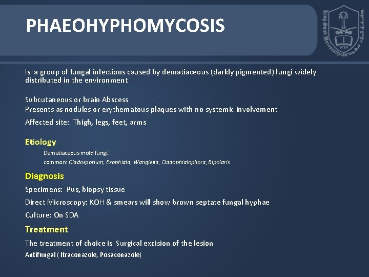 PHAEOHYPHOMYCOSIS Is a group of fungal infections caused by dematiaceous (darkly pigmented) fungi widely PHAEOHYPHOMYCOSIS Is a group of fungal infections caused by dematiaceous (darkly pigmented) fungi widely