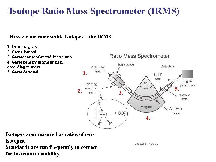 Isotope Ratio Mass Spectrometer (IRMS) How we measure stable isotopes – the IRMS 1.