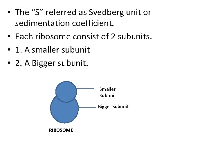  • The “S” referred as Svedberg unit or sedimentation coefficient. • Each ribosome