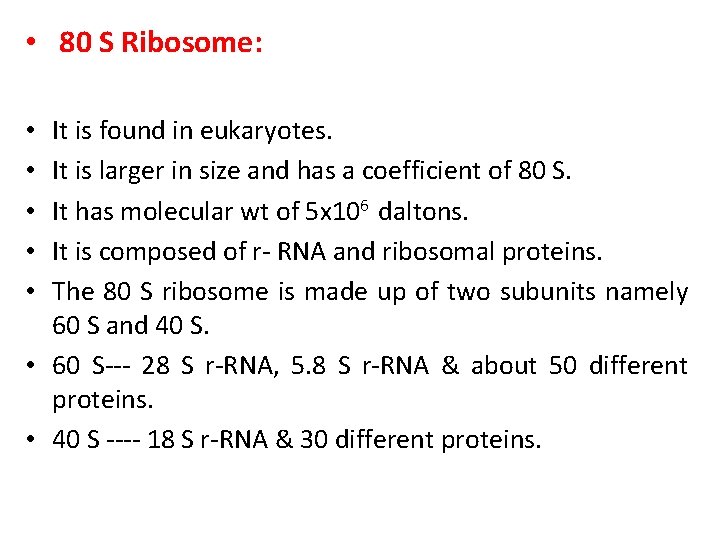  • 80 S Ribosome: It is found in eukaryotes. It is larger in