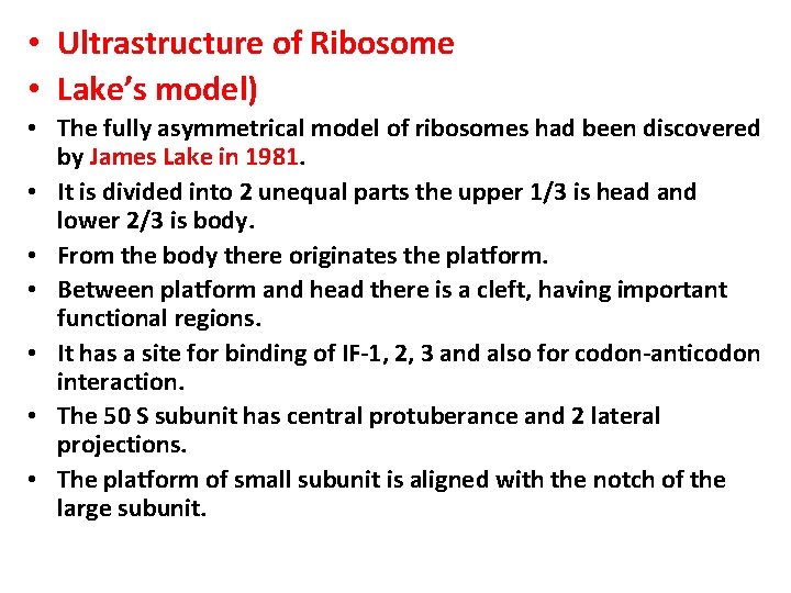  • Ultrastructure of Ribosome • Lake’s model) • The fully asymmetrical model of