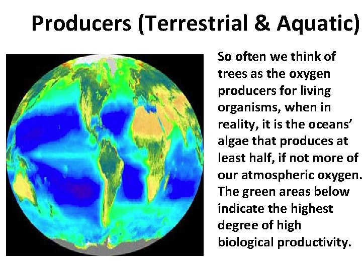 Producers (Terrestrial & Aquatic) So often we think of trees as the oxygen producers
