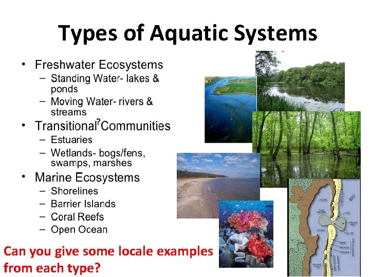 Types of Aquatic Systems ? Can you give some locale examples from each type?