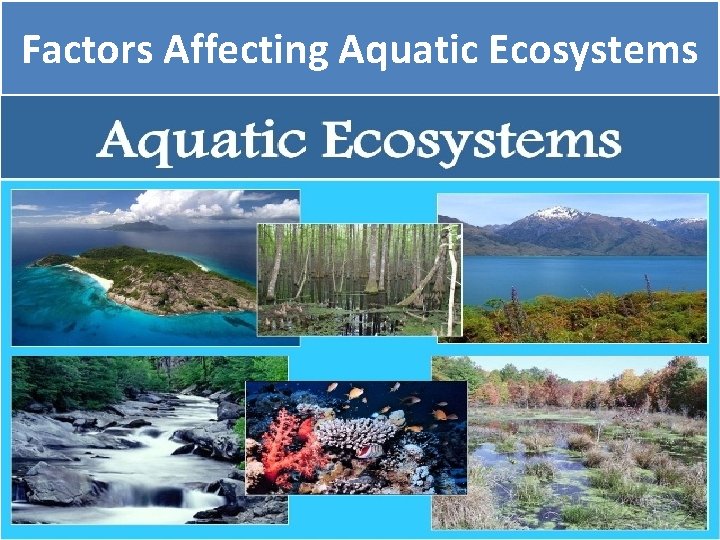 Factors Affecting Aquatic Ecosystems 