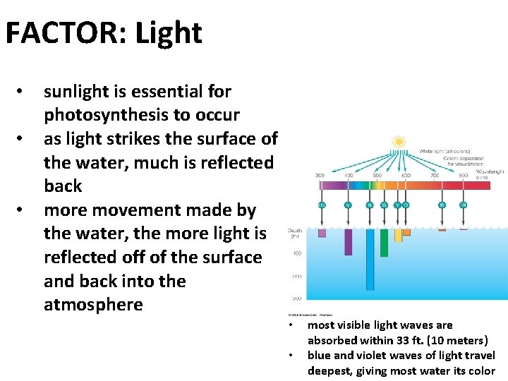 FACTOR: Light • • • sunlight is essential for photosynthesis to occur as light