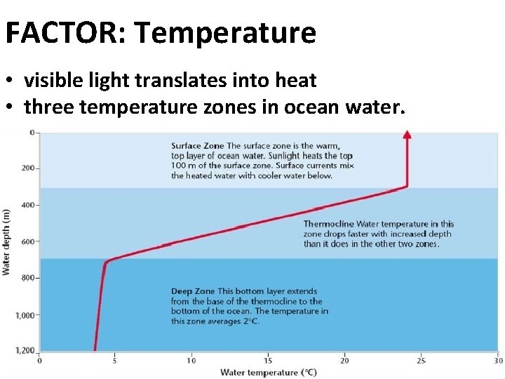 FACTOR: Temperature • visible light translates into heat • three temperature zones in ocean