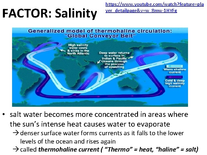 FACTOR: Salinity https: //www. youtube. com/watch? feature=pla yer_detailpage&v=w_8 mw-1 HYFg • salt water becomes
