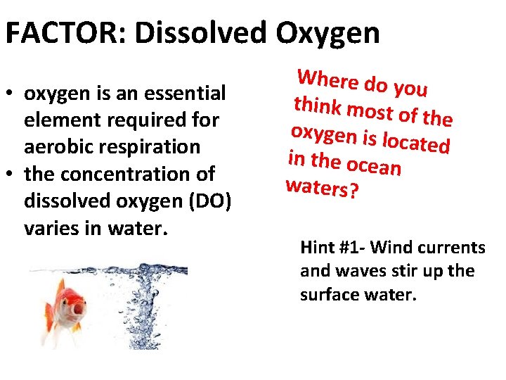 FACTOR: Dissolved Oxygen • oxygen is an essential element required for aerobic respiration •