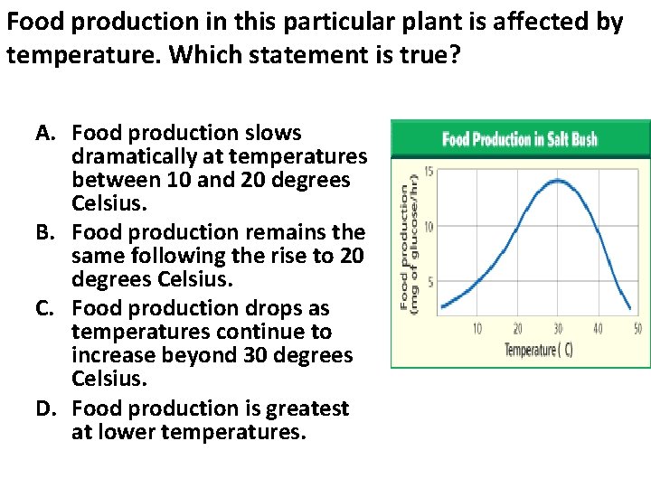 Food production in this particular plant is affected by temperature. Which statement is true?