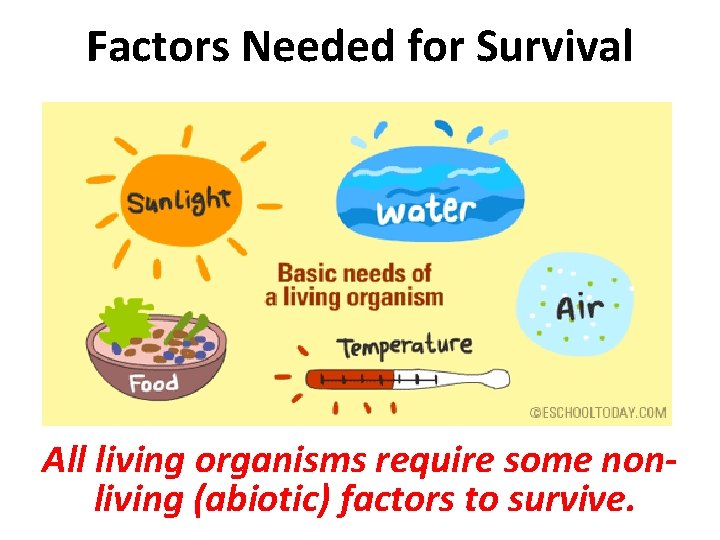 Factors Needed for Survival All living organisms require some nonliving (abiotic) factors to survive.