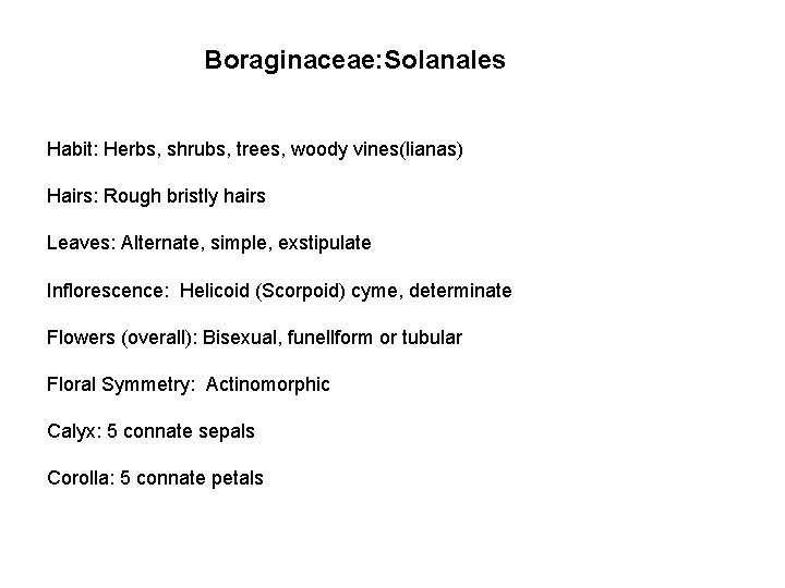 Boraginaceae: Solanales Habit: Herbs, shrubs, trees, woody vines(lianas) Hairs: Rough bristly hairs Leaves: Alternate,