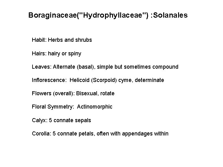 Boraginaceae("Hydrophyllaceae") : Solanales Habit: Herbs and shrubs Hairs: hairy or spiny Leaves: Alternate (basal),