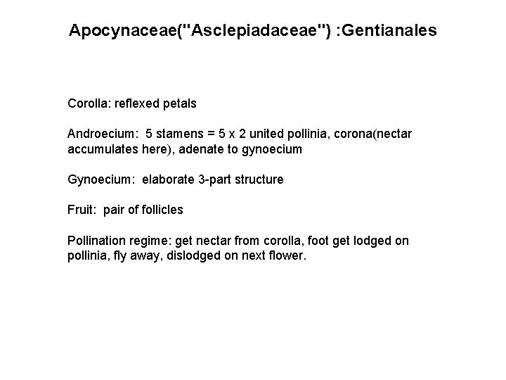 Apocynaceae("Asclepiadaceae") : Gentianales Corolla: reflexed petals Androecium: 5 stamens = 5 x 2 united