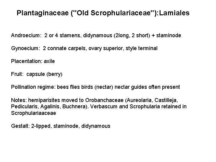 Plantaginaceae ("Old Scrophulariaceae"): Lamiales Androecium: 2 or 4 stamens, didynamous (2 long, 2 short)