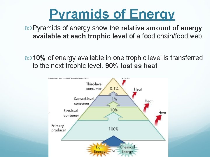 Pyramids of Energy Pyramids of energy show the relative amount of energy available at