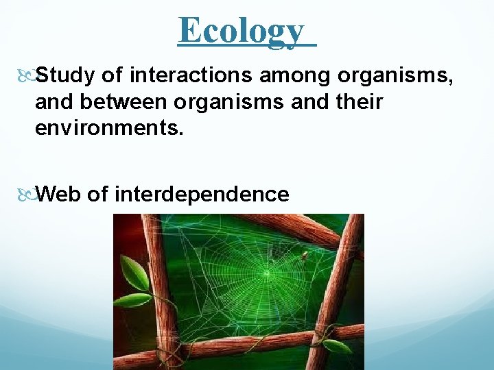 Ecology Study of interactions among organisms, and between organisms and their environments. Web of