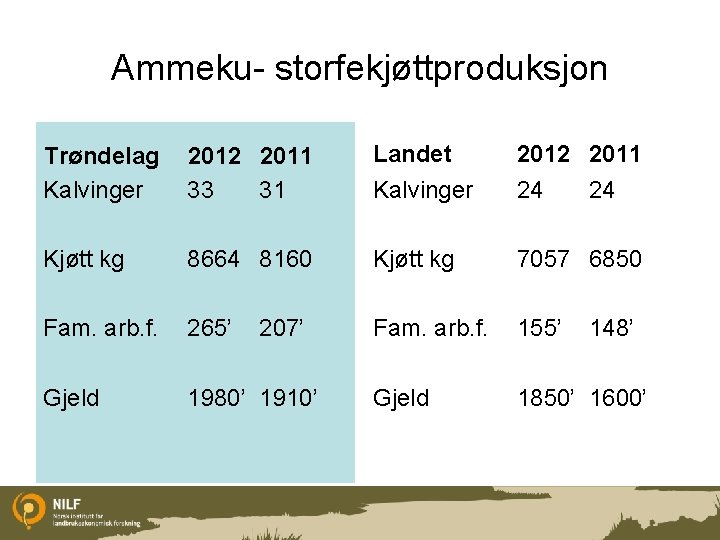 Ammeku- storfekjøttproduksjon Trøndelag Kalvinger 2012 2011 33 31 Landet 2012 2011 Kalvinger 24 Kjøtt