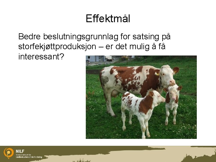 Effektmål Bedre beslutningsgrunnlag for satsing på storfekjøttproduksjon – er det mulig å få interessant?