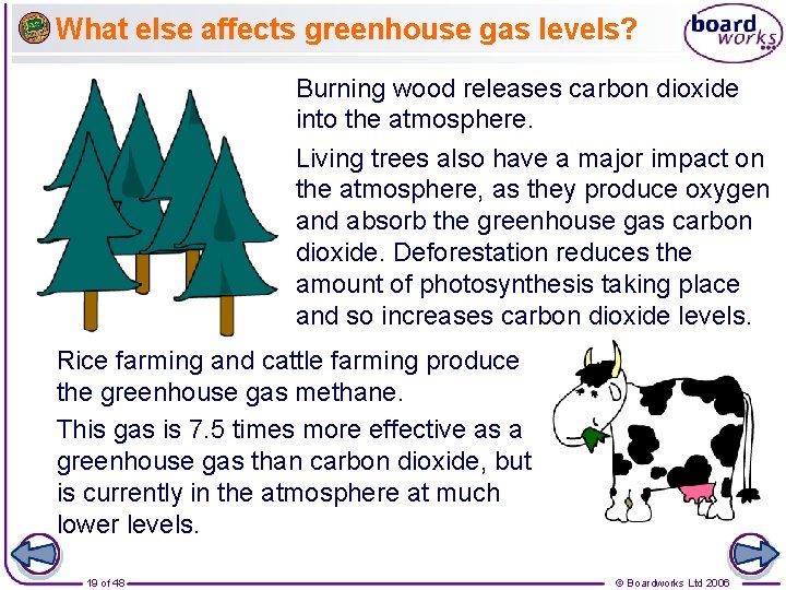 What else affects greenhouse gas levels? Burning wood releases carbon dioxide into the atmosphere.