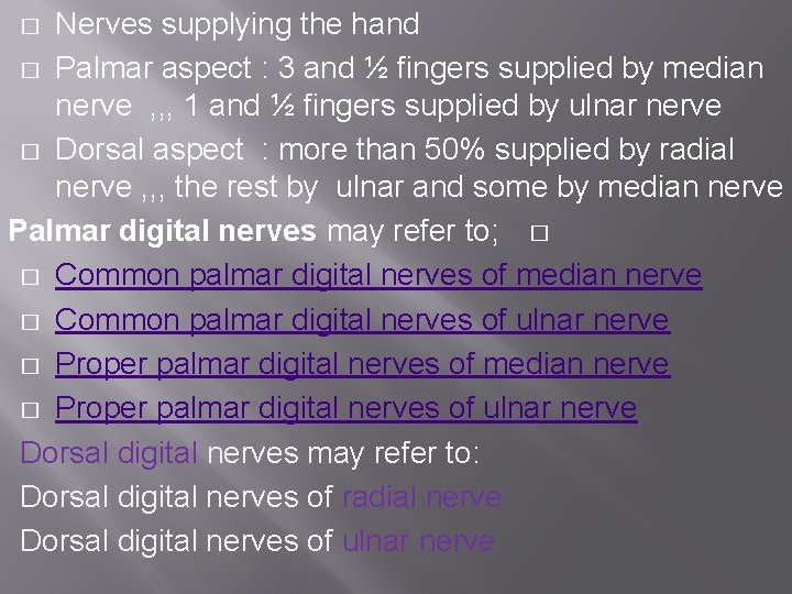 Nerves supplying the hand � Palmar aspect : 3 and ½ fingers supplied by