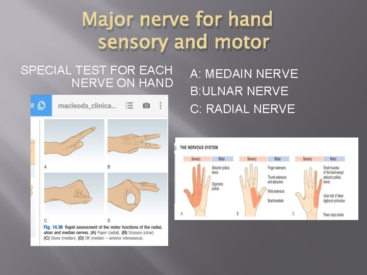 Major nerve for hand sensory and motor SPECIAL TEST FOR EACH NERVE ON HAND