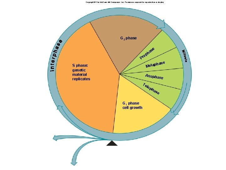 Copyright © The Mc. Graw-Hill Companies, Inc. Permission required for reproduction or display. G