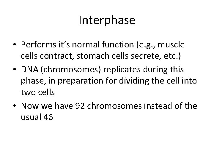 Interphase • Performs it’s normal function (e. g. , muscle cells contract, stomach cells