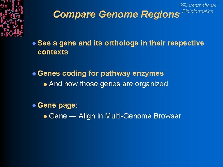 SRI International Bioinformatics Compare Genome Regions l See a gene and its orthologs in