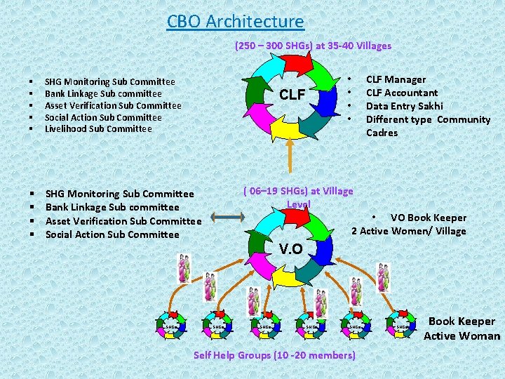 CBO Architecture (250 – 300 SHGs) at 35 -40 Villages § § § SHG