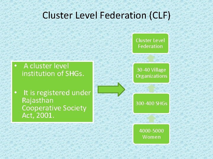 Cluster Level Federation (CLF) Cluster Level Federation • A cluster level institution of SHGs.
