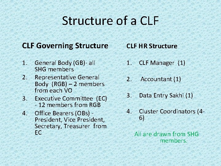 Structure of a CLF Governing Structure CLF HR Structure 1. CLF Manager (1) 2.