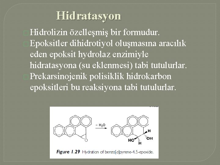 Hidratasyon � Hidrolizin özelleşmiş bir formudur. � Epoksitler dihidrotiyol oluşmasına aracılık eden epoksit hydrolaz